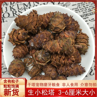 回头客500+25年新货松鼠粮食干货