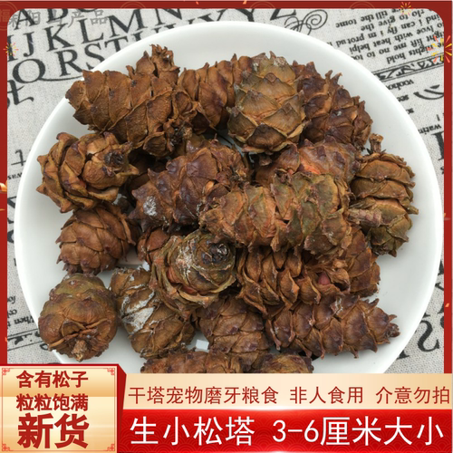 回头客500+25年新货松鼠粮食干货