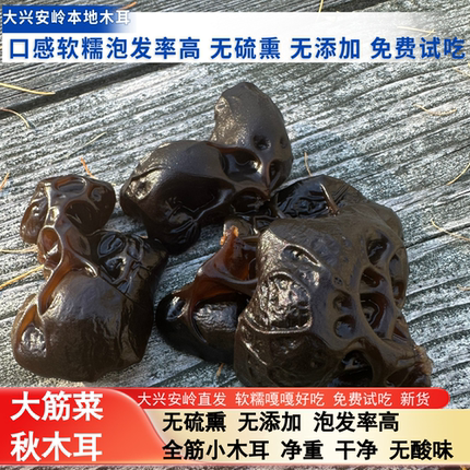 黑龙江大兴安岭黑木耳东北秋木耳大筋菜木耳口感软糯干净干货小耳