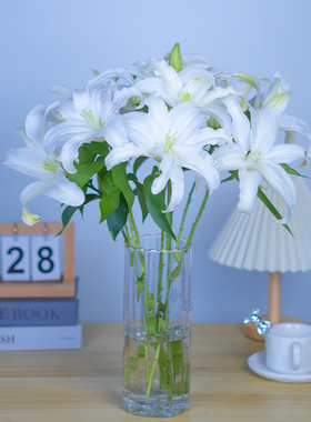 【白色香水百合】云南基地直发鲜切花办公室鲜花直播间现场直播花