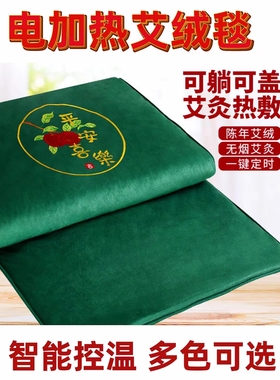 平直堂电加热艾绒艾灸毯艾灸垫艾草褥子床垫坐垫药房旗舰店正品cc