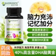 美国进口澳克罗健DHA藻油软胶囊可搭学生儿童专注思维记忆品用TS3