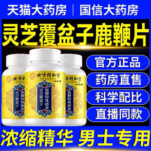 灵芝覆盆子鹿鞭片正品官方旗舰店直播同款加强款药房直发男士11km