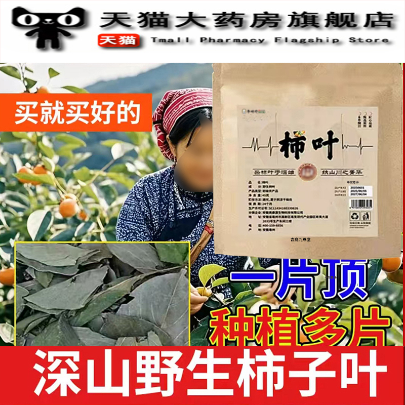 野生柿子叶官方旗舰店正品直播同款药房直售鲜摘柿叶晒干用3jk