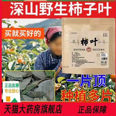 野生柿子叶直播同款鲜摘柿叶晒干用官方旗舰店正品药房直售5jk