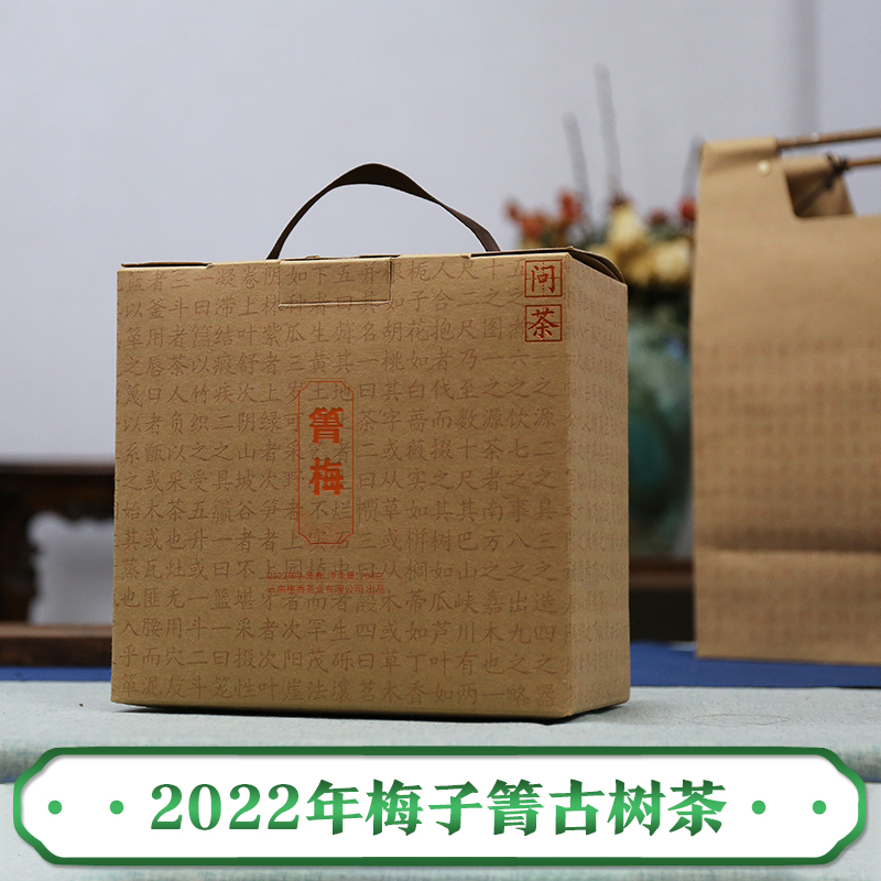 格香2022年春茶现货梅子箐头波春300年古树箐梅生普散茶盒装294克