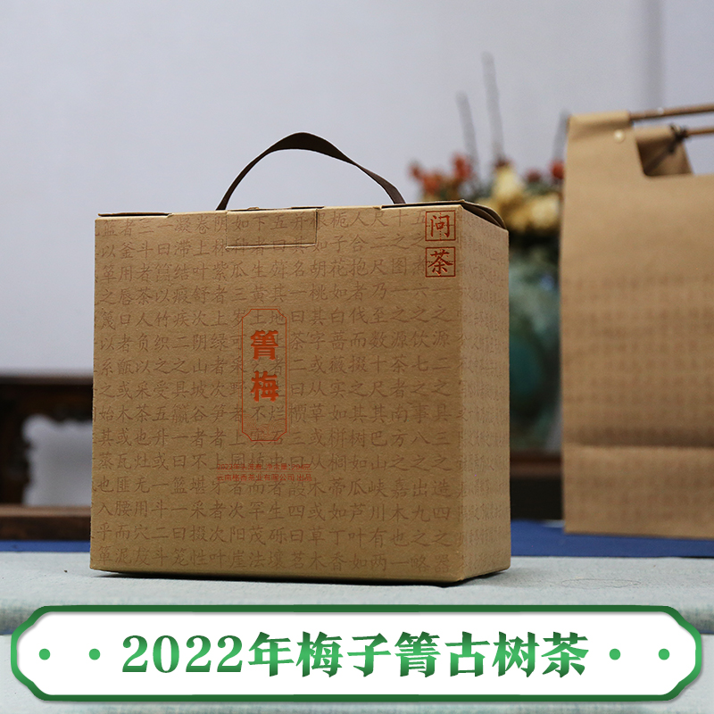 格香2022年春茶预售梅子箐头春