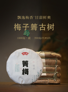 箐梅2022年秋临沧小微产区梅子箐挑采古树普洱生茶200克*5片一提