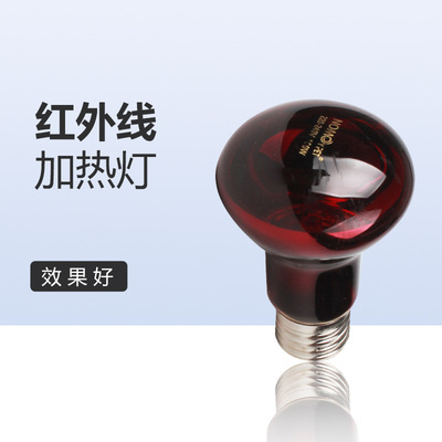 诺摩红外线爬虫加热灯 红光夜灯陆龟变色龙蜥蜴蛇夜灯爬宠保温
