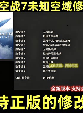 皇牌空战7未知空域steam正版epic修改器辅助工具电脑不含游戏