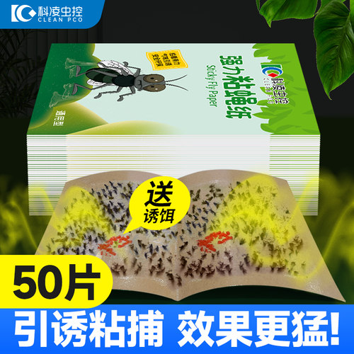 科凌虫控强力粘蝇纸苍蝇贴送诱饵