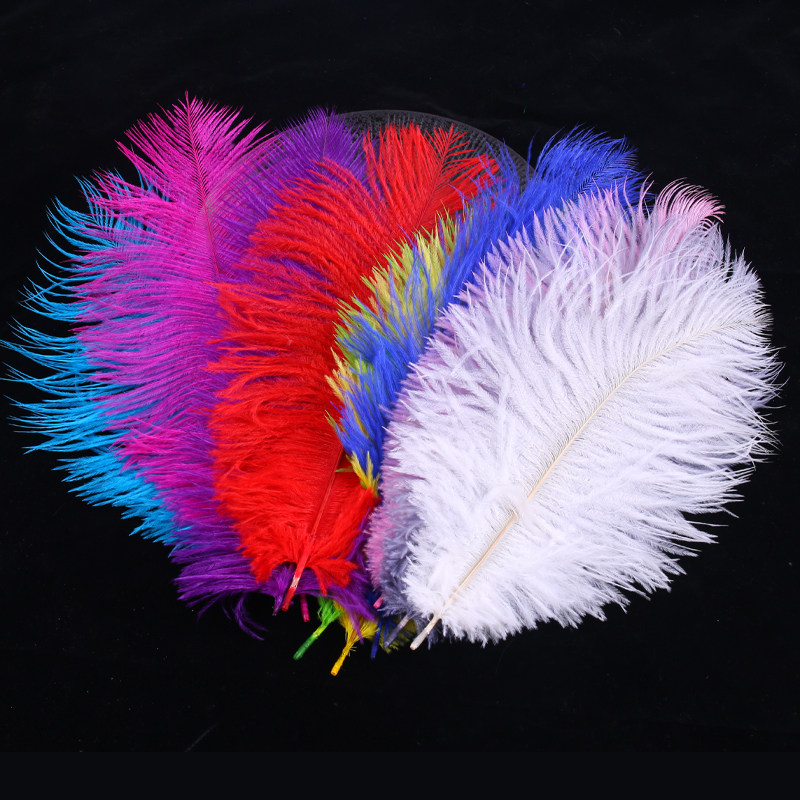 进口鸵鸟羽毛 婚庆路引桌花摆设婚礼装饰舞台演出道具diy饰品