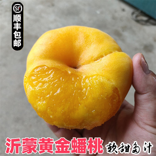 黄金蟠桃山东蒙阴蟠桃爆甜多汁