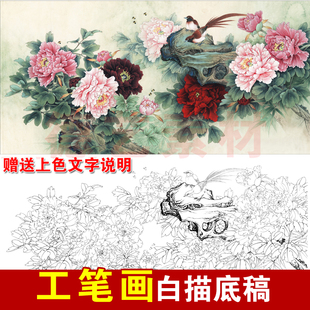 高清工笔画素材国画牡丹四尺六尺牡丹群芳谱工笔画白描底稿打印稿