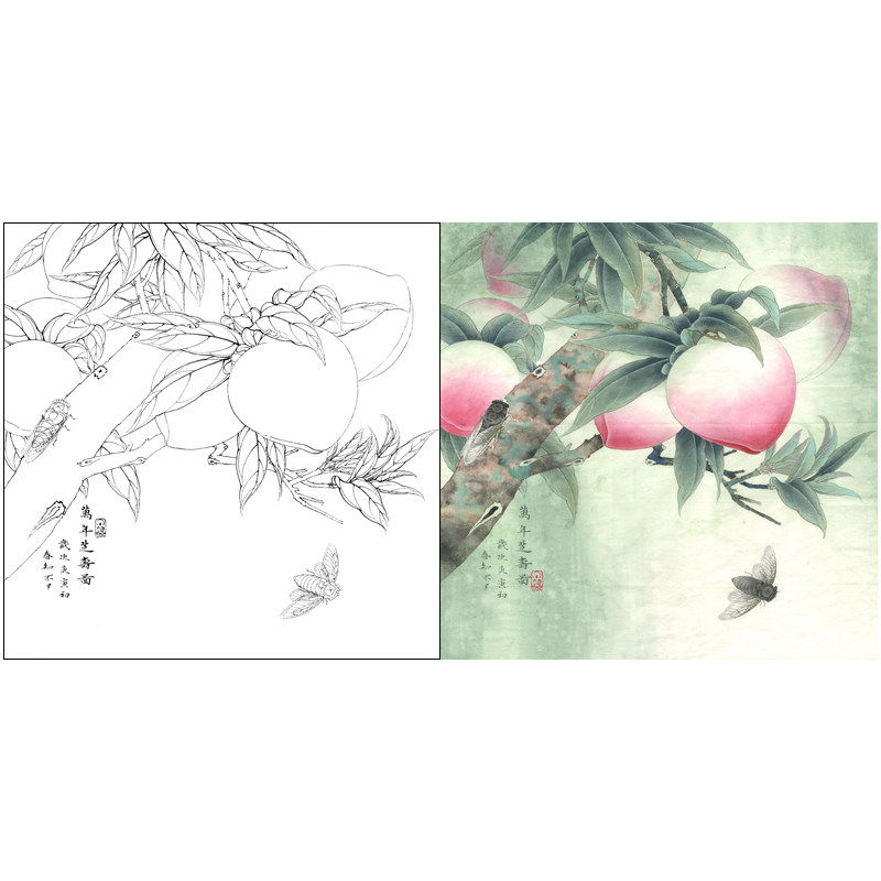 有步骤有说明李晓明工笔画白描底稿知了寿桃万年芝寿图底稿556l
