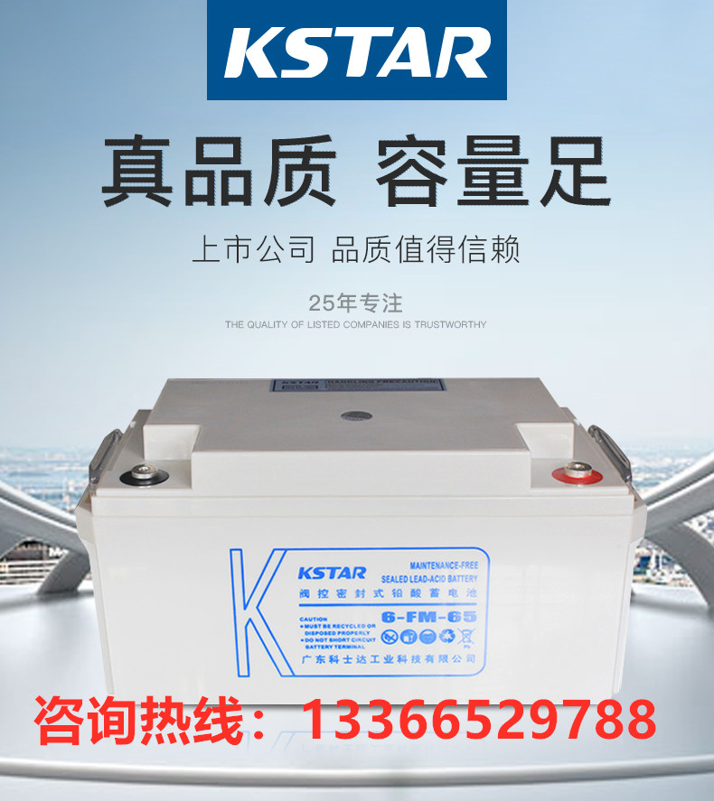 科士达蓄电池12V65AH全国包邮