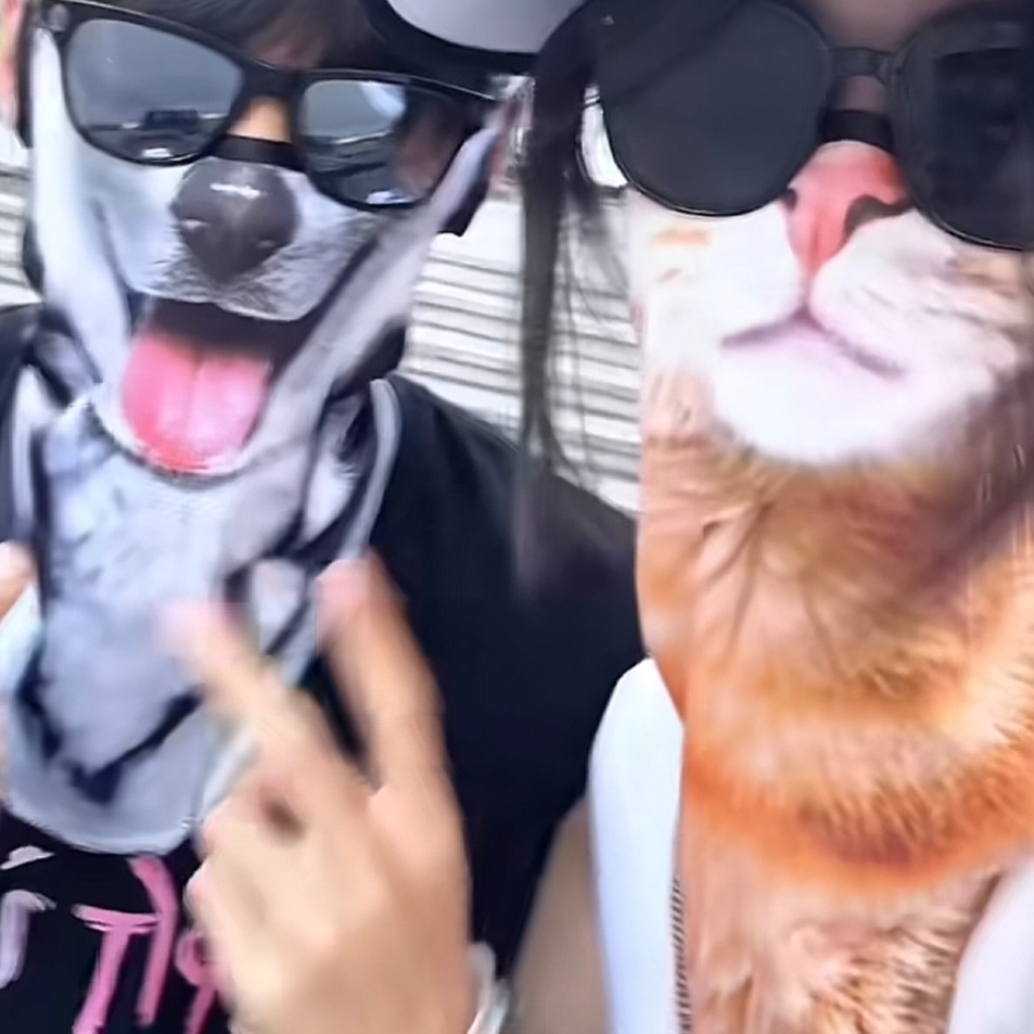 挂耳式防晒防紫外线防风骑行骑士面罩动物半脸橙猫面巾小猫咪脖套