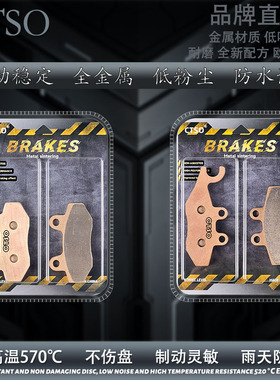 CTSO金属皮适用阿普利亚SRMAX300 250 APR300T-V踏板摩托车碟刹片