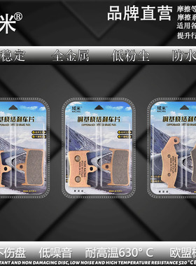 适用本田VFR400 30期 35期 RVF400 NC400 高性能烧结耐磨刹车片