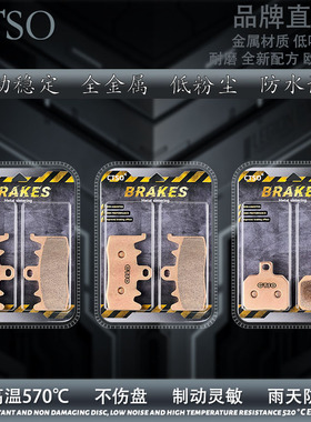 CTSO金属片 适用钱江 骁SRT500 550 600 650 700 750 800碟刹皮