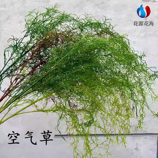 网红新款仿真空气草绿植家居装饰摆件假花绢花婚庆摄影背景墙道具