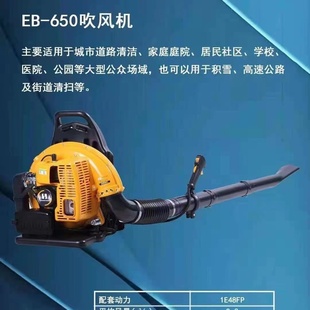 风力灭火机大棚吹雪机工地除尘 吹风机背负式 华盛泰山EB 650正品