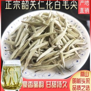 2025新茶正宗仁化白毛尖广东韶关白毛茶红山芽尖丹霞银豪厂家直销