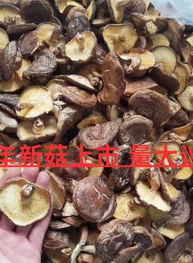 今年新菇广东香菇韶关香菇冬菇野生香菇蘑菇干货香信菇直发价新鲜