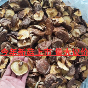 今年新菇广东香菇韶关香菇冬菇野生香菇蘑菇干货香信菇直发价新鲜