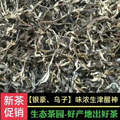 白毛茶农家直销毛尖绿茶毛尖散装