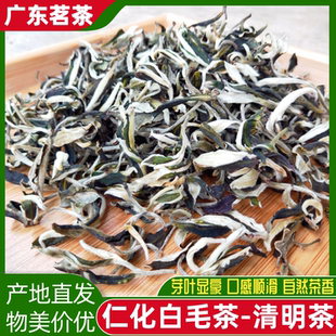 2025新茶韶关仁化白毛茶清明茶红山浓香耐泡春茶茶农直销广东绿茶