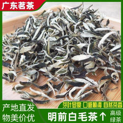 2024新茶明前茶仁化白毛茶红山白毛尖韶关白毛茶广东绿茶茶农直发