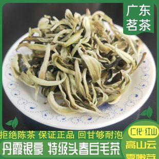 2025头采韶关仁化白毛茶一芽一叶明前绿茶特级手工茶粤北丹霞特产