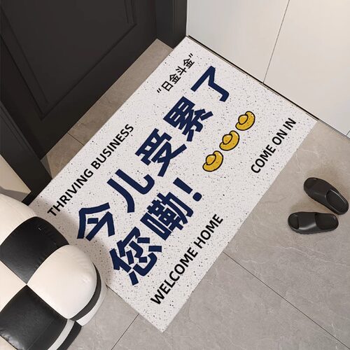 入户大门丝圈地垫进门口玄关防滑耐磨免洗脚垫子个性文字地毯脚垫