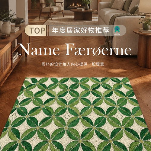 【热卖推荐】简约风入户门地垫