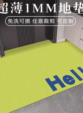 超薄1mm入户门地垫现代简约不卡门门垫进门玄关免洗自由剪裁地毯