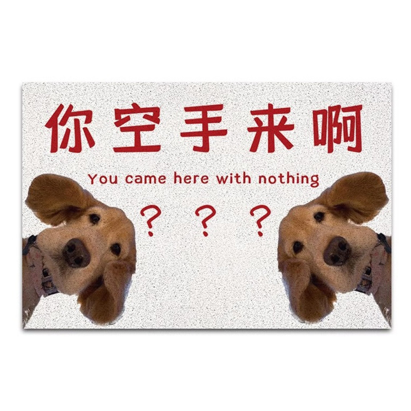 你空手来啊地垫入户门玄关脚垫