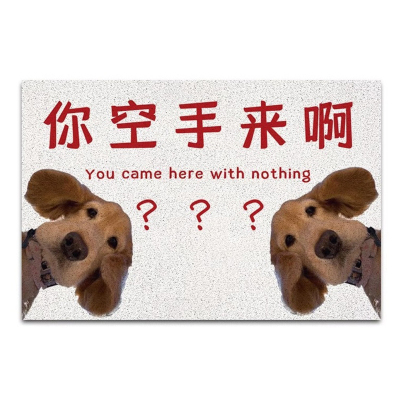 你空手来啊地垫入户门玄关脚垫