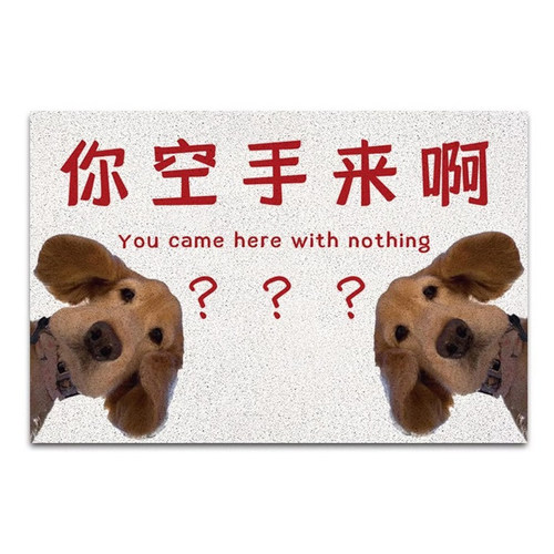 你空手来啊地垫入户门玄关脚垫
