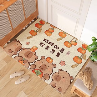 入户门地垫家用玄关门口丝圈脚垫防滑耐脏可擦免洗地毯2025新款