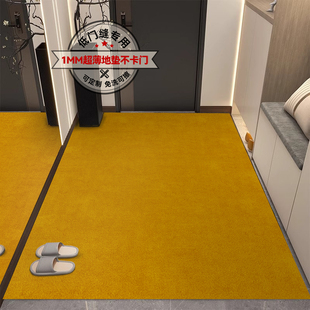 超薄1mm入户门地垫轻奢高级感黄色进门口可裁剪pvc极薄不卡门脚垫