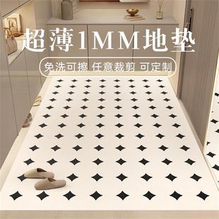 超薄1mm入户门地垫现代简约可剪裁不卡门门垫可擦洗地毯2025新款