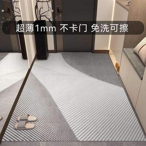 超薄1mm入户门地垫轻奢地毯