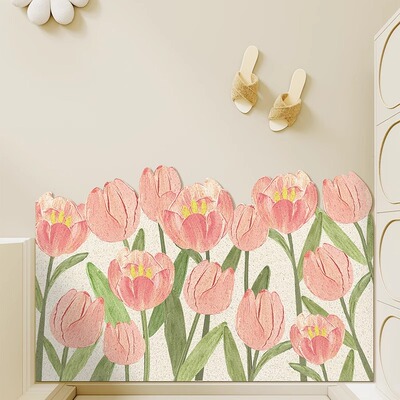 入户门地垫脚垫子网红新款进门口