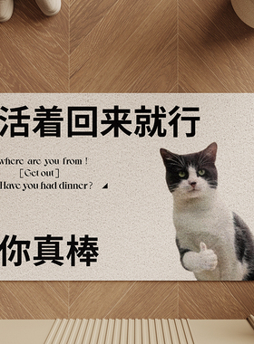 活着回来就行地毯入户门地垫进门口玄关2025新款丝圈耐脏pvc脚垫