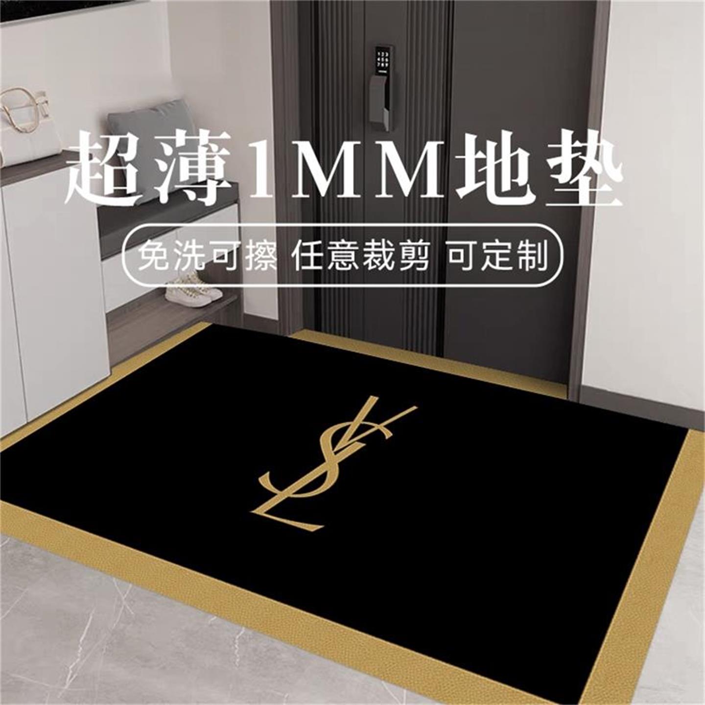 超薄1mm入户门地垫轻奢高级感进门门口不卡门门垫家用可擦洗地毯
