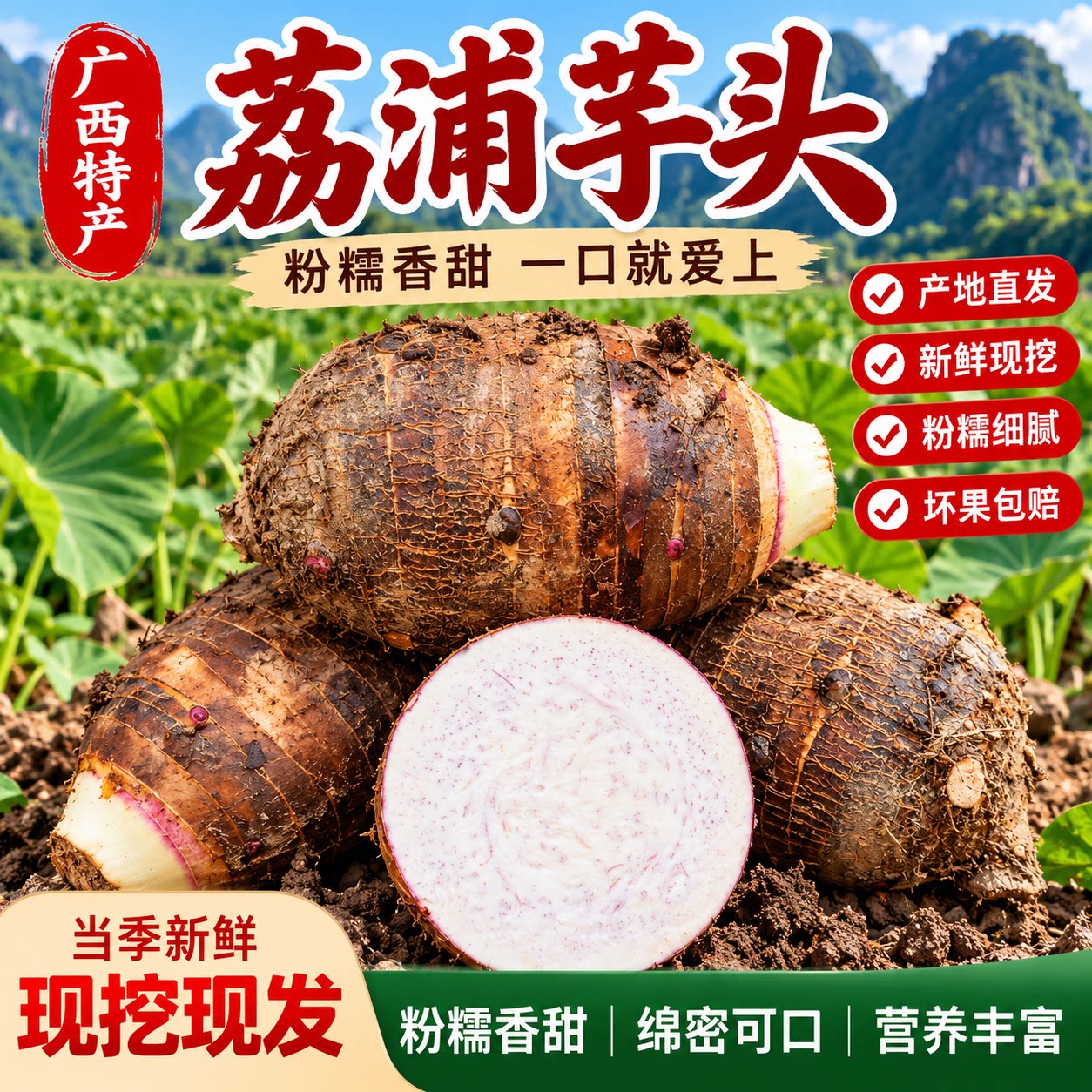 正宗广西荔浦芋头新鲜香芋大芋头现挖粉糯香槟榔芋毛芋艿