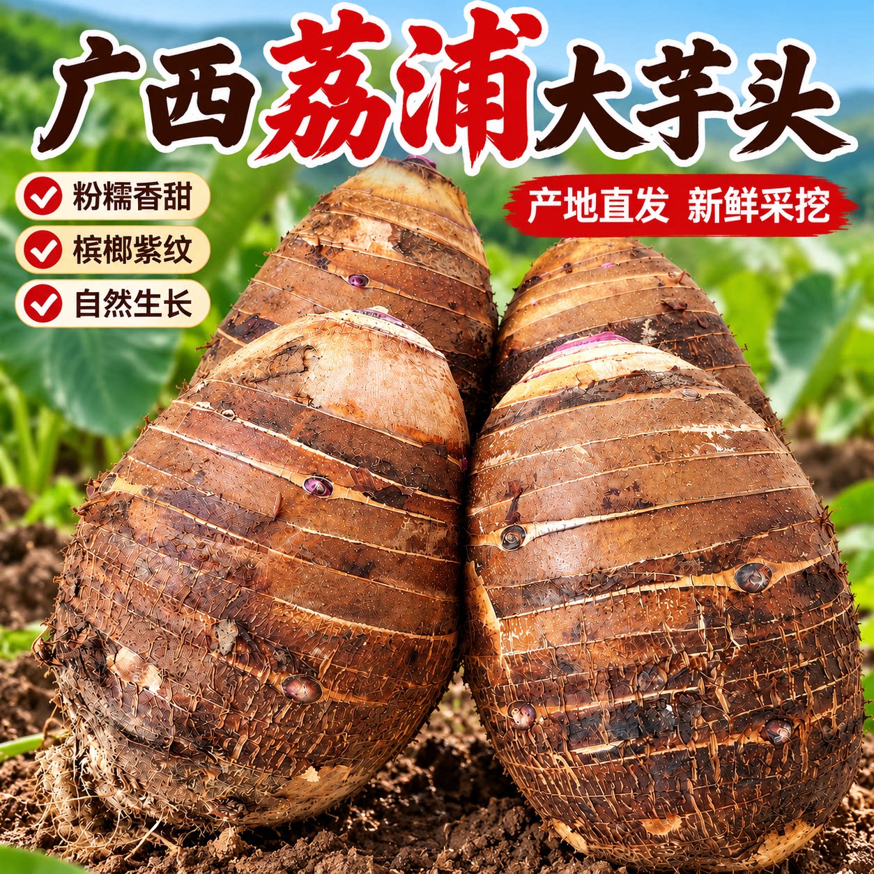 正宗荔浦芋头新鲜芋头广西特产香芋槟榔芋紫藤芋毛芋大芋头 商用