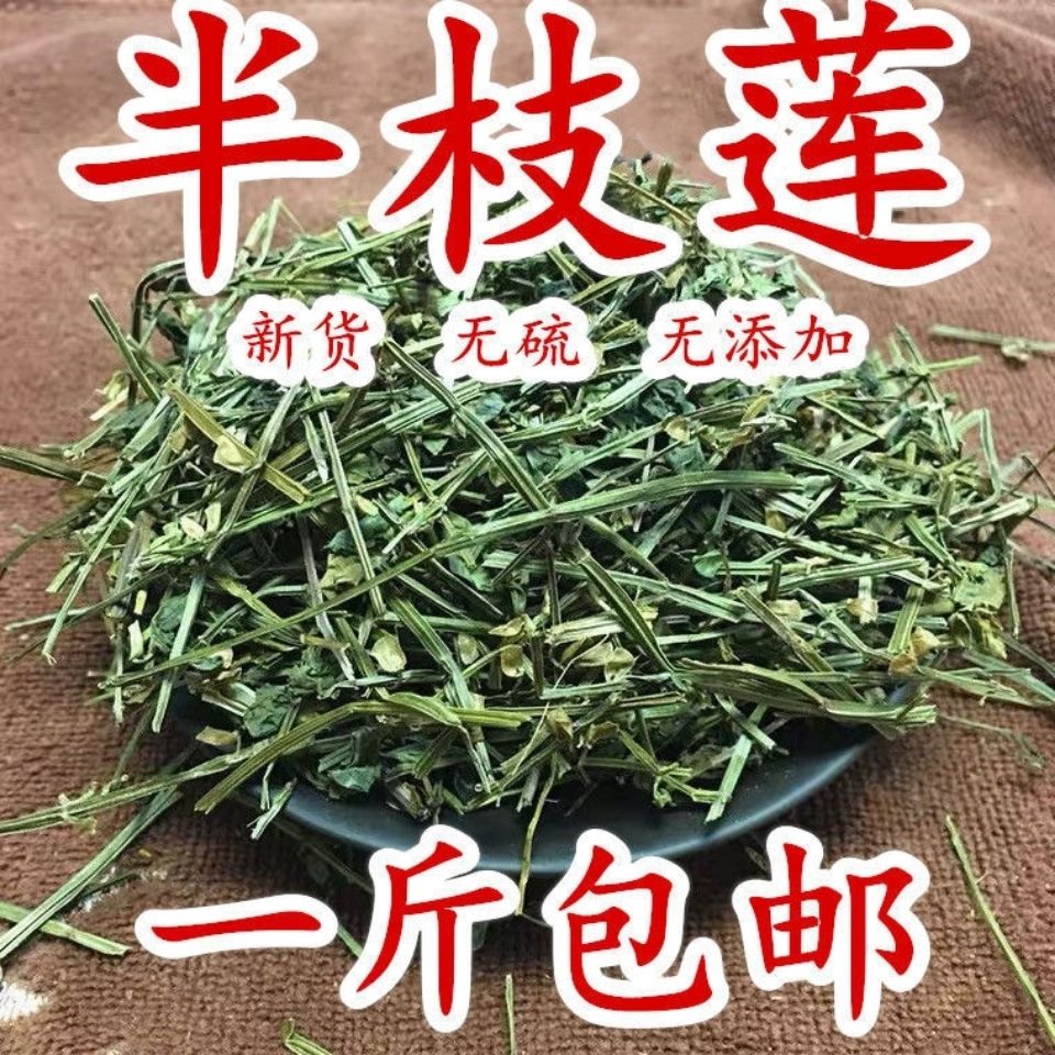 2024新货 野生中药材半枝莲 牙刷草另售蛇舌草 包邮 可磨半枝莲粉