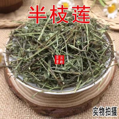 云南野生中药材半枝莲新货另有蛇舌草 包邮